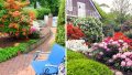 im Sommer zum Genießen