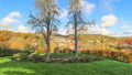 Aussicht aus dem Garten