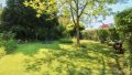 Rasenfläche mit Baumbestand