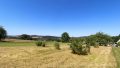 weitläufiger Garten mit Weitblick