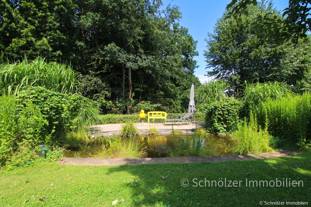 Teich mit Terrasse 3