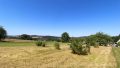 weitläufiger Garten mit Weitblick
